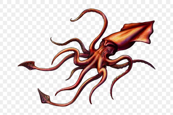 Kraken onion