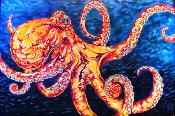 Kraken ссылка зеркало рабочее