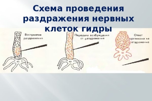 Как зайти на кракен
